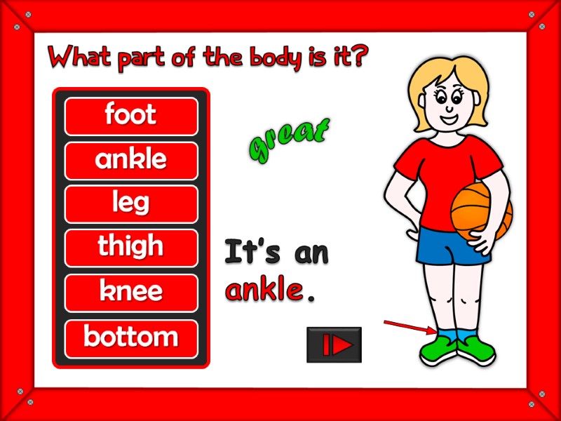 foot ankle leg thigh knee bottom great It’s an  ankle.